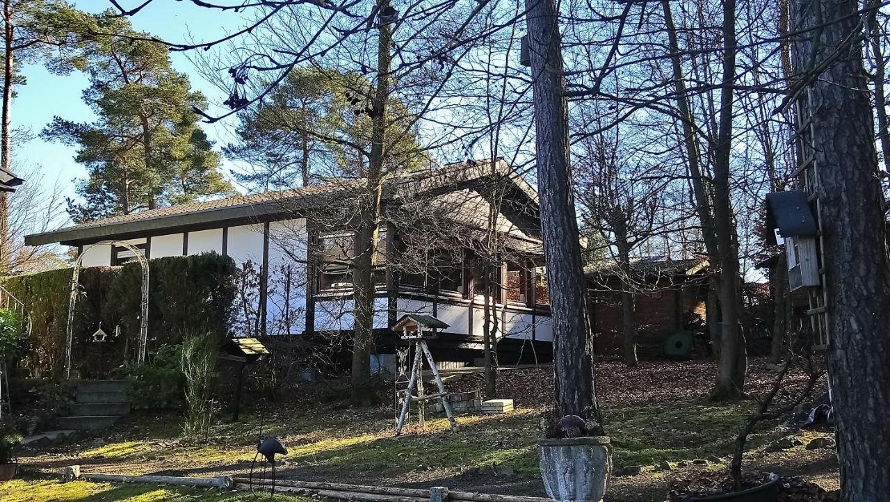 Ferienhaus Eifelpur Ahrdorf Exteriör bild