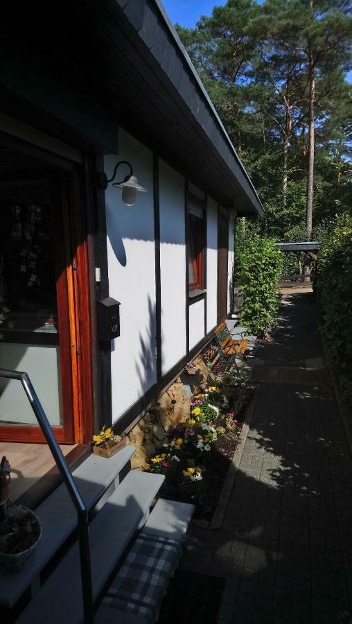 Ferienhaus Eifelpur Ahrdorf Exteriör bild
